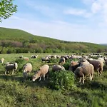 호텔 Rokaberc Vadaszhaz