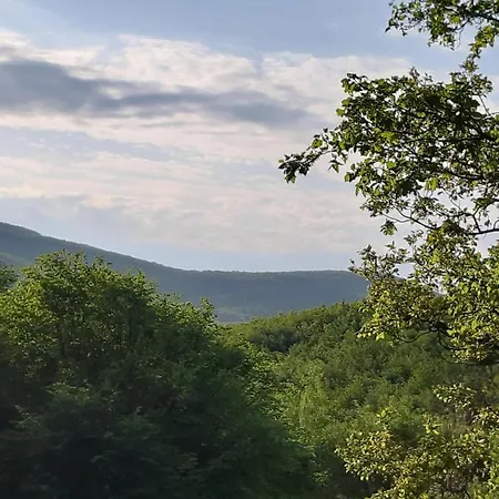 Rokaberc Vadaszhaz Hotell Erdőbénye