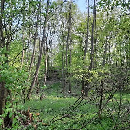 Rokaberc Vadaszhaz Erdőbénye